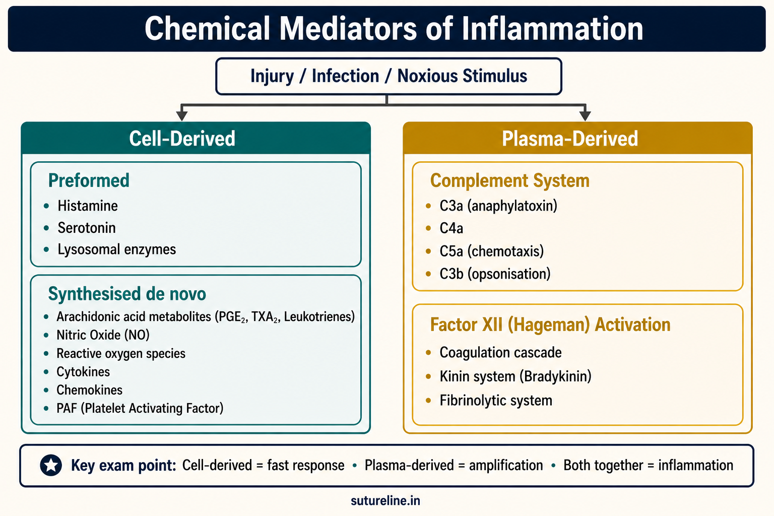 Chemical Mediators of Inflammation